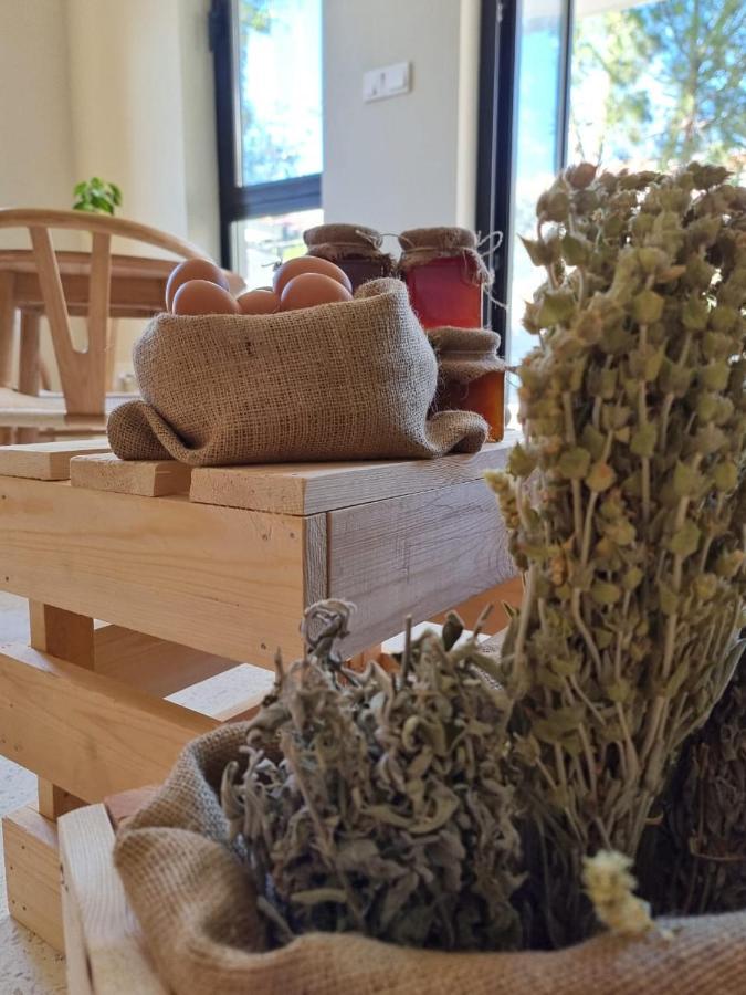 Thymises Boutique Hotel カコペトリア エクステリア 写真